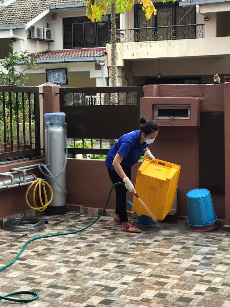 Ace & Shine Cleaning Services