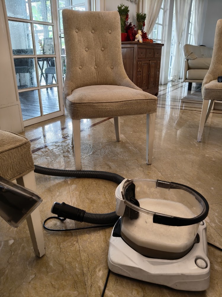 WLG Cleaning Solution