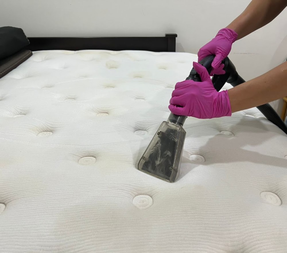 STF Cleaning Solution